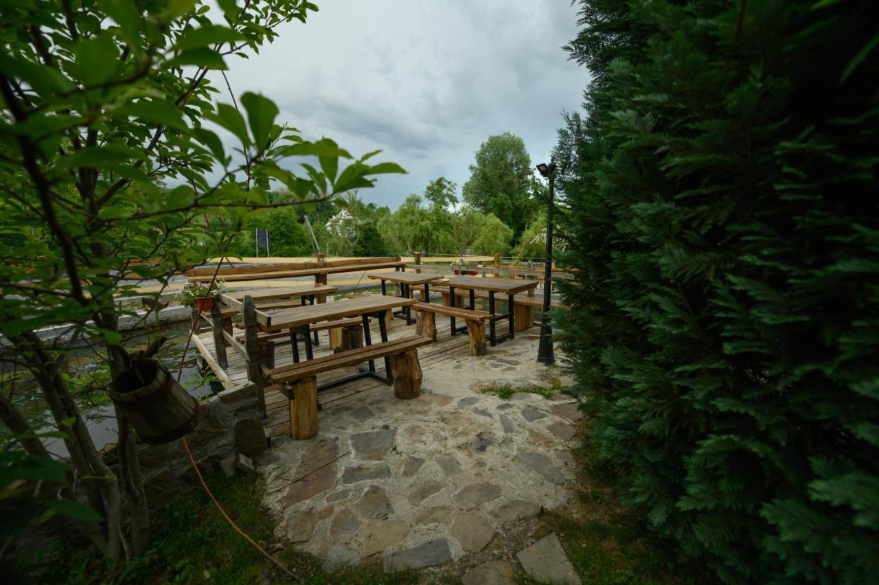 Pensiune Pastravarie La Pintea Haiducu Desesti Exterior photo