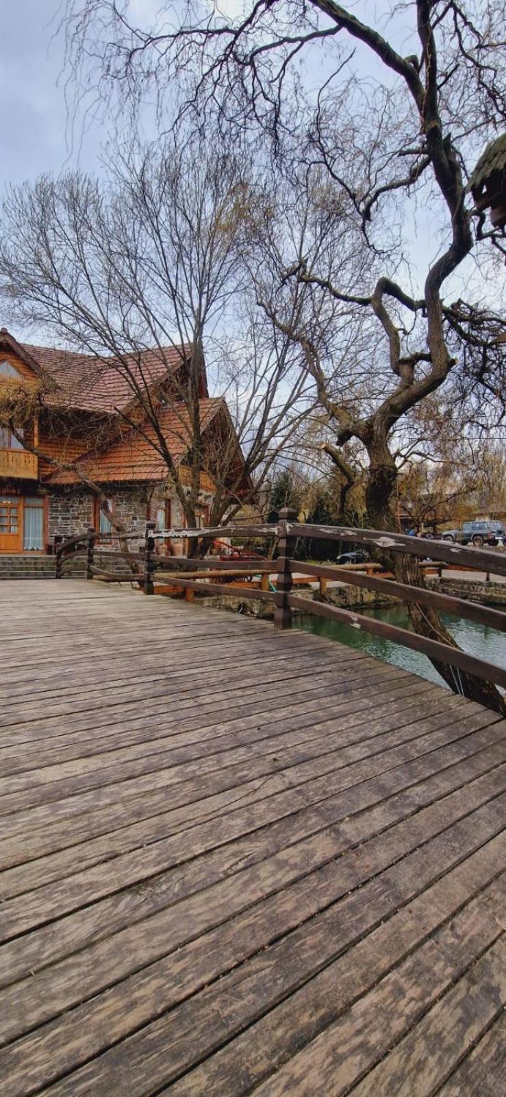 Pensiune Pastravarie La Pintea Haiducu Desesti Exterior photo
