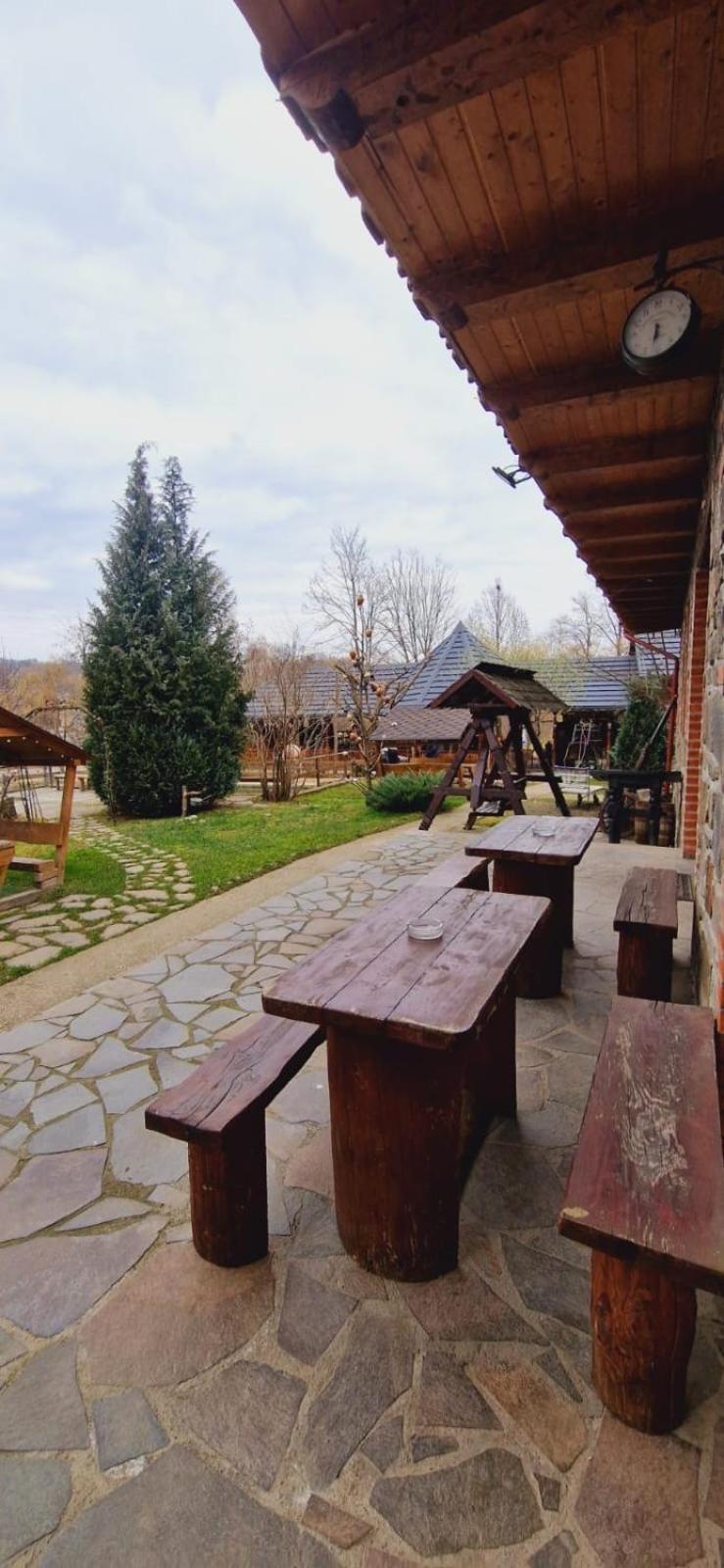 Pensiune Pastravarie La Pintea Haiducu Desesti Exterior photo