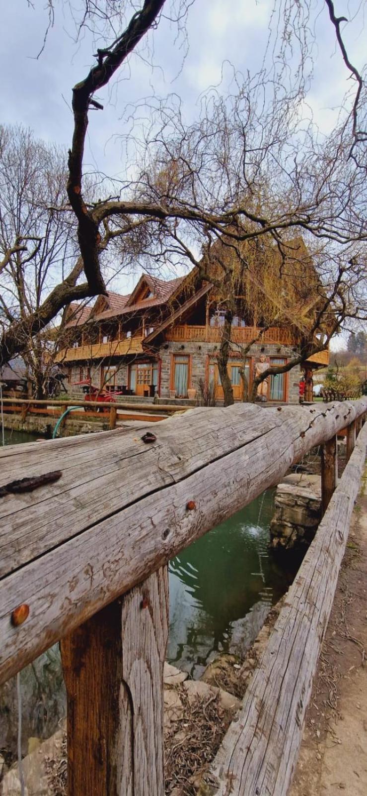 Pensiune Pastravarie La Pintea Haiducu Desesti Exterior photo